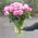 Gift bouquet of roses - view 1