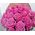 Gift bouquet of roses - view 2