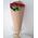 Simple bouquet of 7 roses view 2