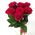 Simple bouquet of 7 roses view 3