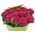 Simple bouquet of roses - view 3