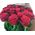 Simple bouquet of roses - view 4
