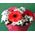 A real bouquet of flowers - view 1