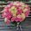 Luxury bouquet of roses - view 1