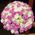 Luxury bouquet of roses - view 2
