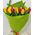 Tulips in a bouquet - view 1