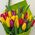 Tulips in a bouquet - view 2