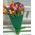 Spring flowers tulips - view 3