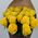 Yellow roses bouquet - wiev 2