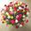 101 roses in the basket - view 2