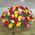 101 roses in the basket - view 4