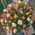 101 roses in the basket - view 6
