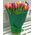 101 tulip - view 2