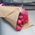 11 Dutch pink roses - view 1