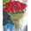 25 imported red roses - view 4