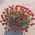 75 roses in a basket for an anniversary - view 1