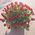 75 roses in a basket for an anniversary - view 3