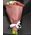 Alstroemerias bouquet - view 1