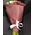 Alstroemerias bouquet - view 2