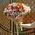 Alstromeria bouquet - view 1