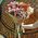 Alstromeria bouquet - view 2