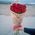A bouquet of long roses - view 1