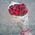 A bouquet of long roses - view 3