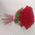 Bouquet of Dutch roses - view 1