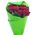 Bouquet of 15 red roses in craft - view 5