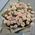 Bouquet of 21 bush roses - view 1