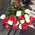 Bouquet from 23 import roses - view 1
