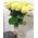 Bouquet of 25 roses of short - view 4