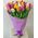 Bouquet of 51 tulips - view 1