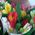 Bouquet of different color alstromeries - view 3