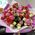Bouquet of shrub roses - view 1