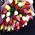 Bouquet of different color tulips - view 1