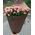 Bouquet of pink rose spray - view 1