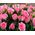 Bouquet of pink rose spray - view 3