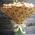 Bouquet from rose spray - view 2