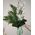 Bouquet from a branch of a white orchid - view 1