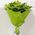 Bouquet of green orchids cimbidium - view 1