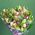 Bouquet of green orchids cimbidium - view 5