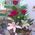 Bouquet to the beloved wife - view 5