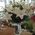 Bouquet with lilies - view 1