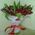Bouquet with tulips - view 1