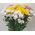 Bouquet with chrysanthemum - view 2