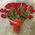 Bouquet of high roses - view 1