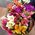 Alstroemeria flowers in bouquet - view 4