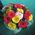 Gerberas buy bouquet - view 2