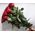 Imported roses with large buds - view 2